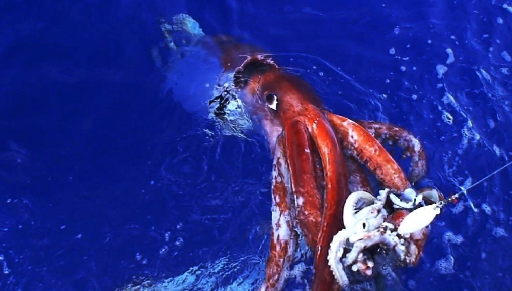 murekkepbaliklari cocuklara yonelik zeka testini gecti nk8iUz1z