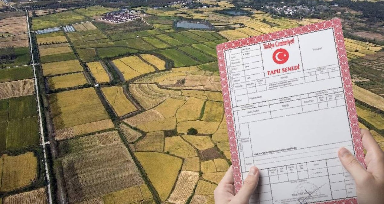 13 bin lirasi olan tapu sahibi olacak milli emlaktan dev arsa firsati K3iwtQXj.jpg