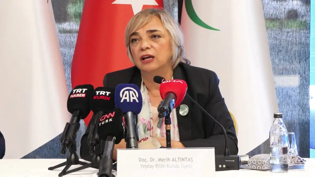 kumar bagimliligi artiyor sciZiqzb