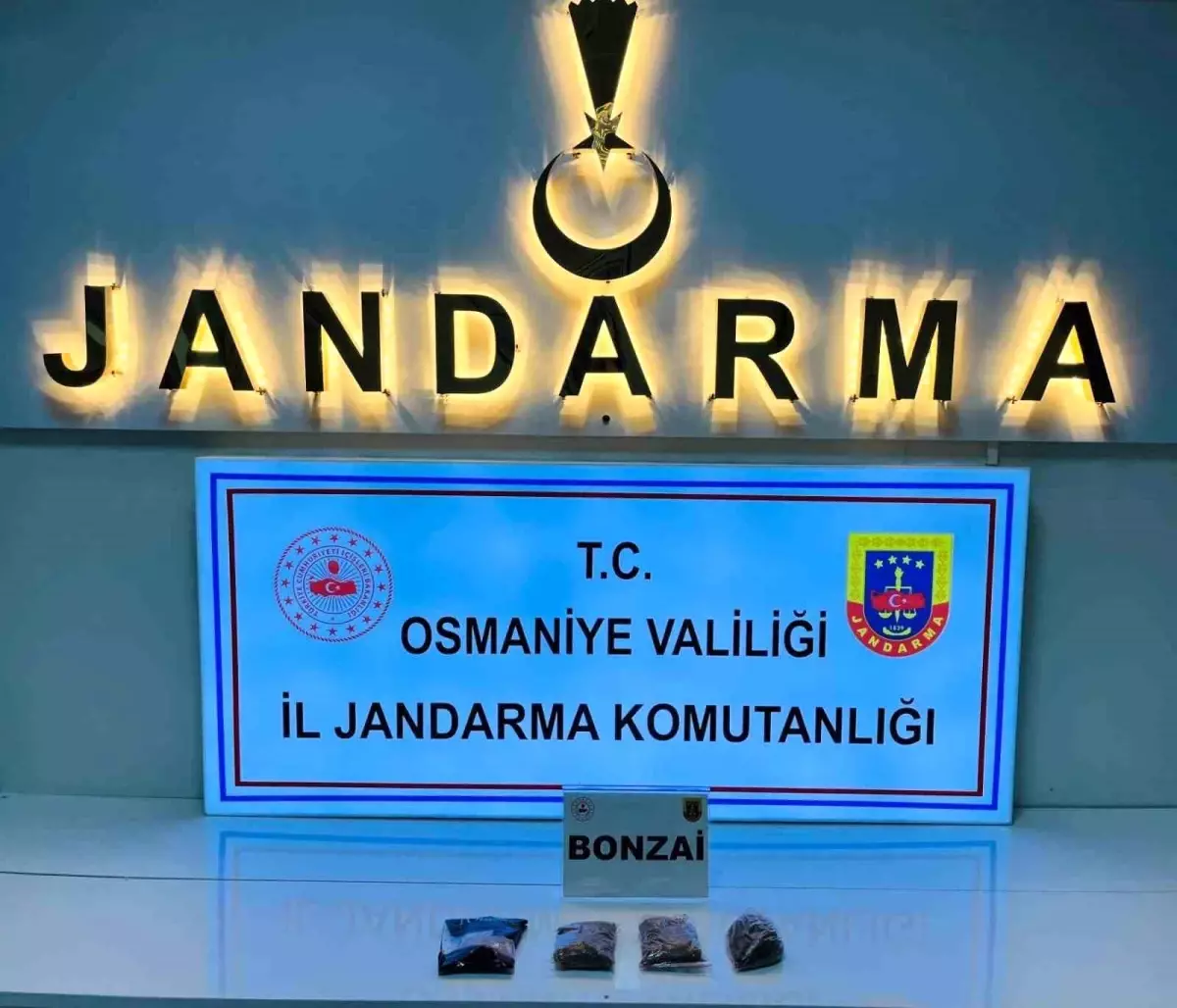 osmaniyede jandarmadan buyuk operasyon 124 supheli gozaltina alindi TLIZtFbf.jpg