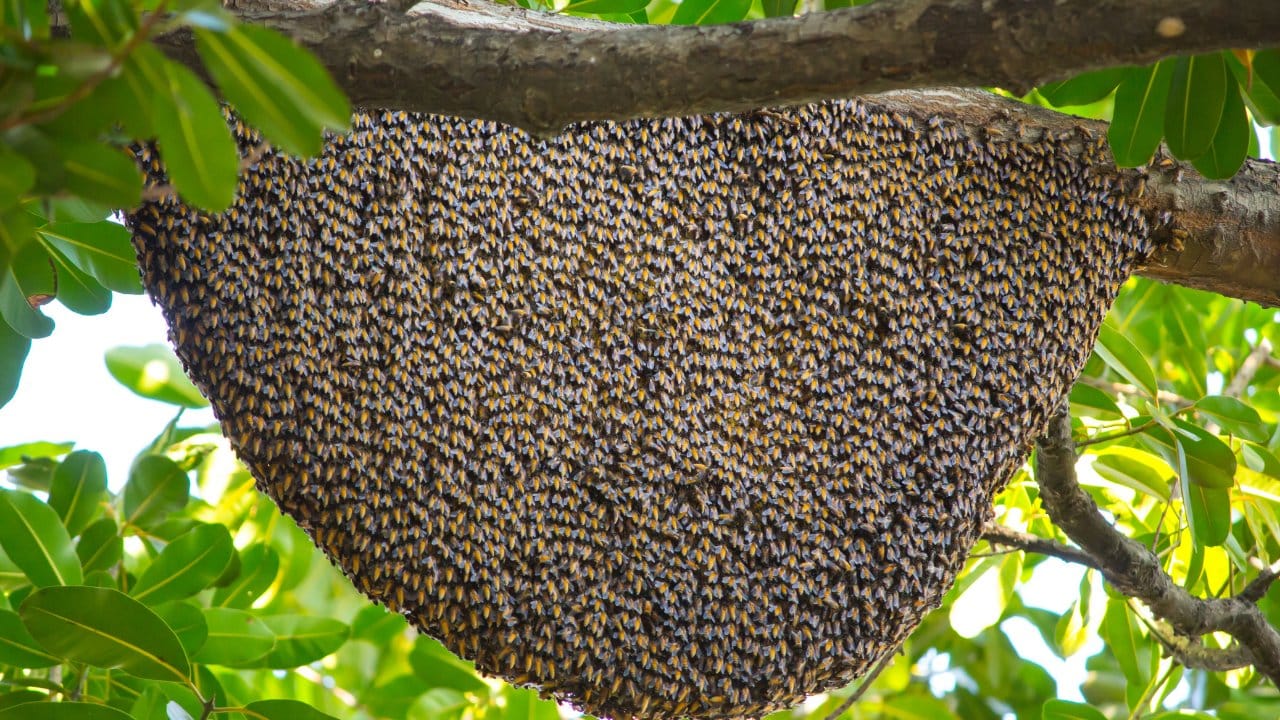 bingolde ureticilere yuzde 75 hibe verildi LOXsM8KU.jpg