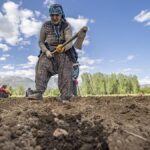 17-milyon-emekli-11-bin-bahce-etmedi-1ynD7kPw