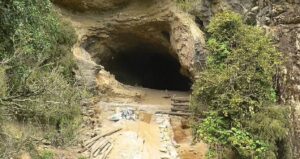 kopegin-pesinden-ormana-kostu-buyuk-hazineyi-buldu-magaraya-girisler-kapatildi-EYQPLp7V