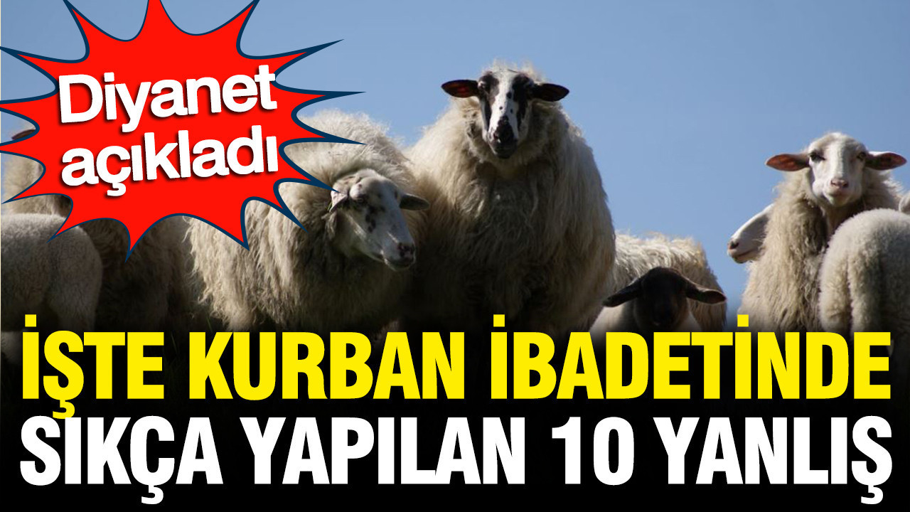 Diyanet’ten Uyarı: Kurban İbadetinde Yapılan 10 Yaygın Yanlış