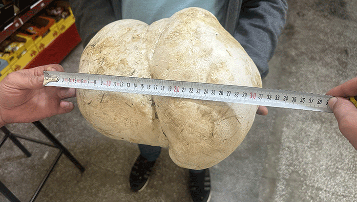 Isparta’da bahçesini temizlerken buldu! Tam 3 kilo 470 gram…
