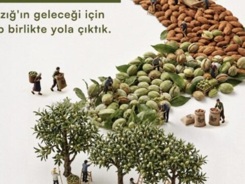 Haber gorseli